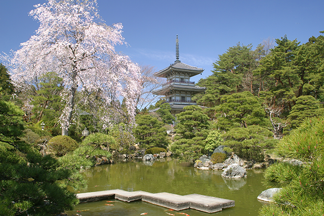 An adventure of nature and culture