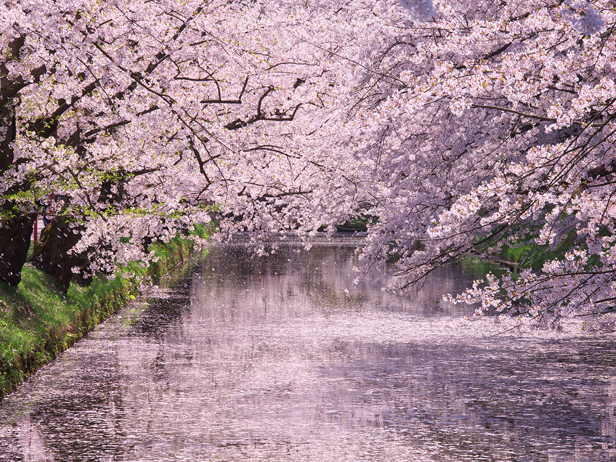 Hirosaki Park_2