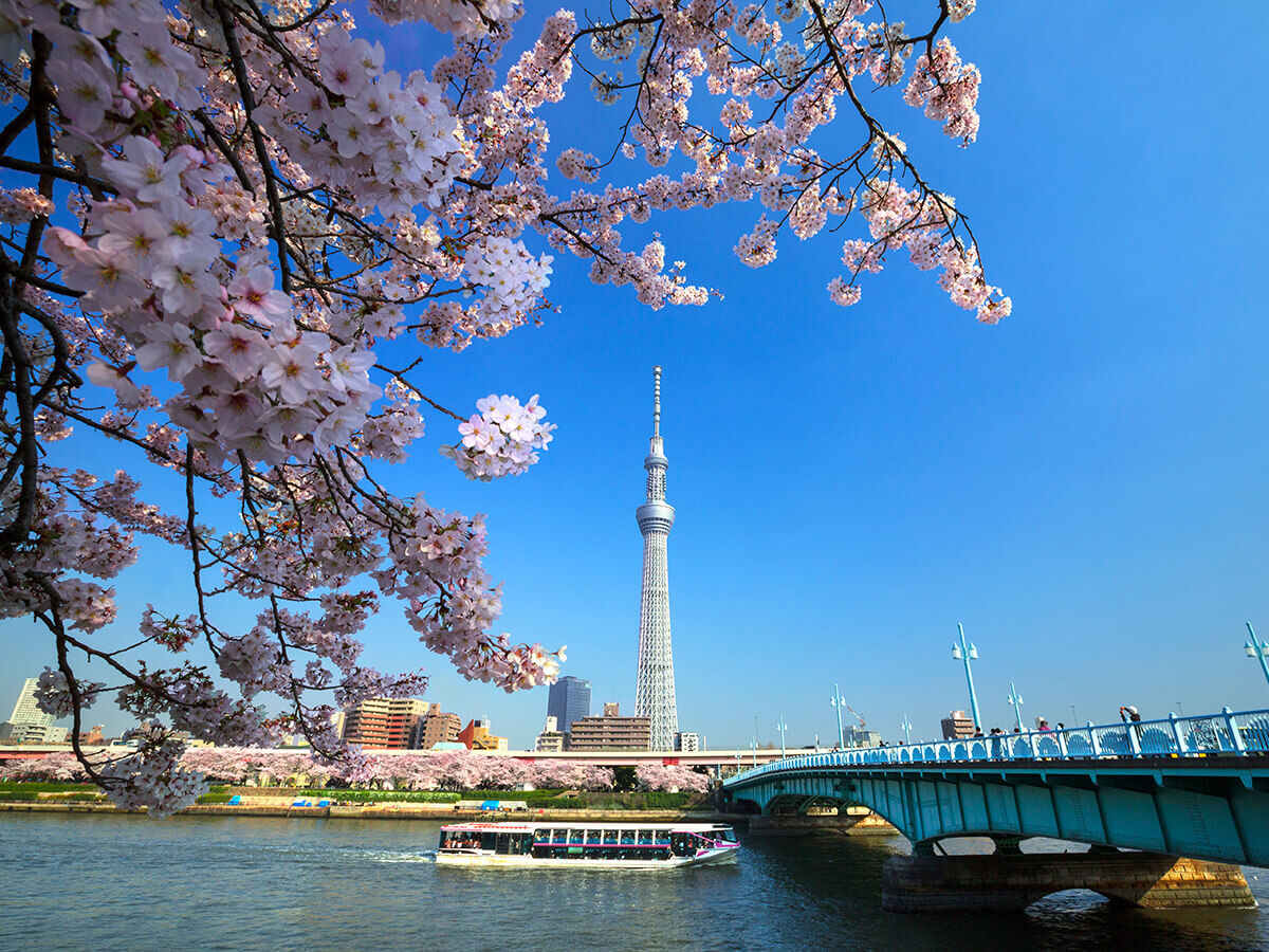 TOKYO CRUISE Sumidagawa Line_1