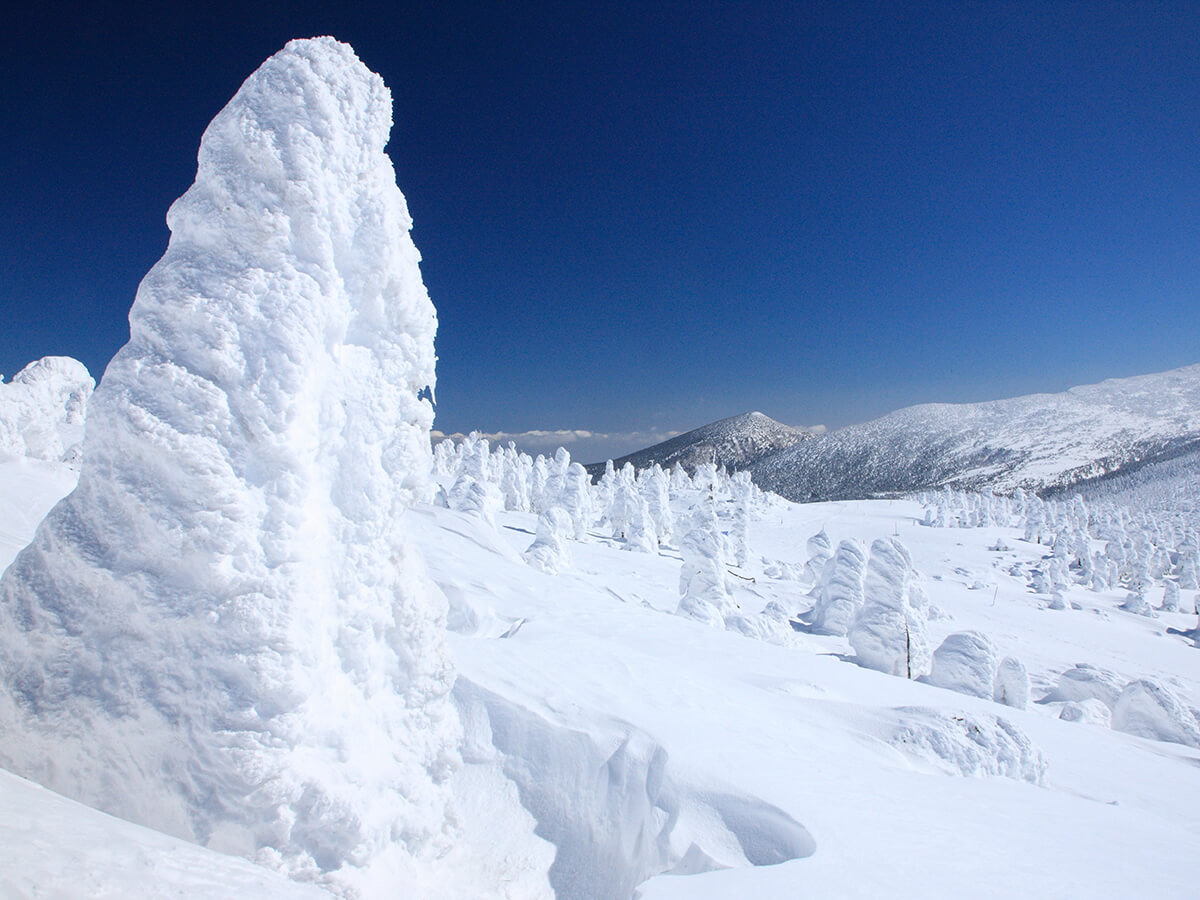 Miyagi Zao Tour of Juhyo, Ice Monster_1