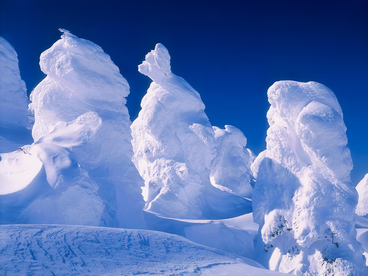 Miyagi Zao Tour of Juhyo, Ice Monster_3