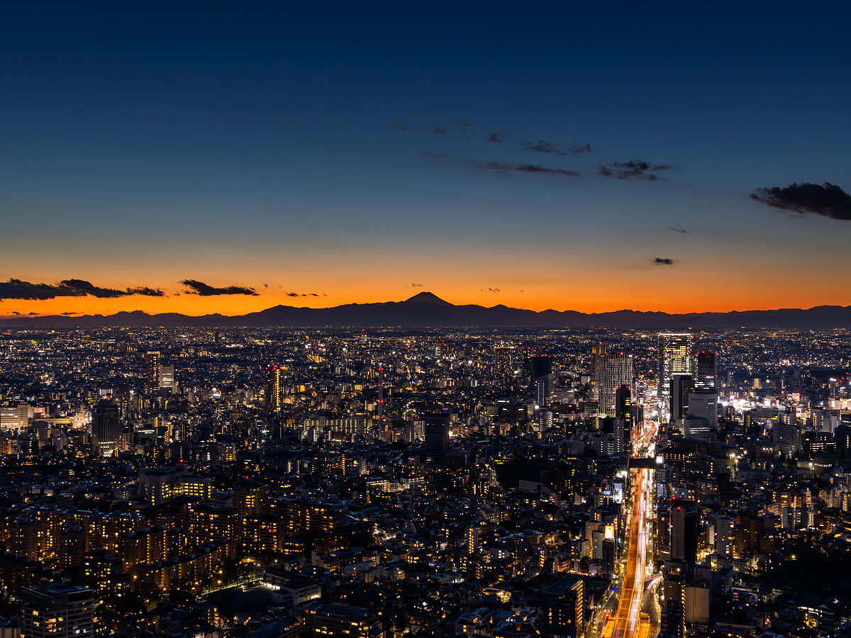 Tokyo City View_3