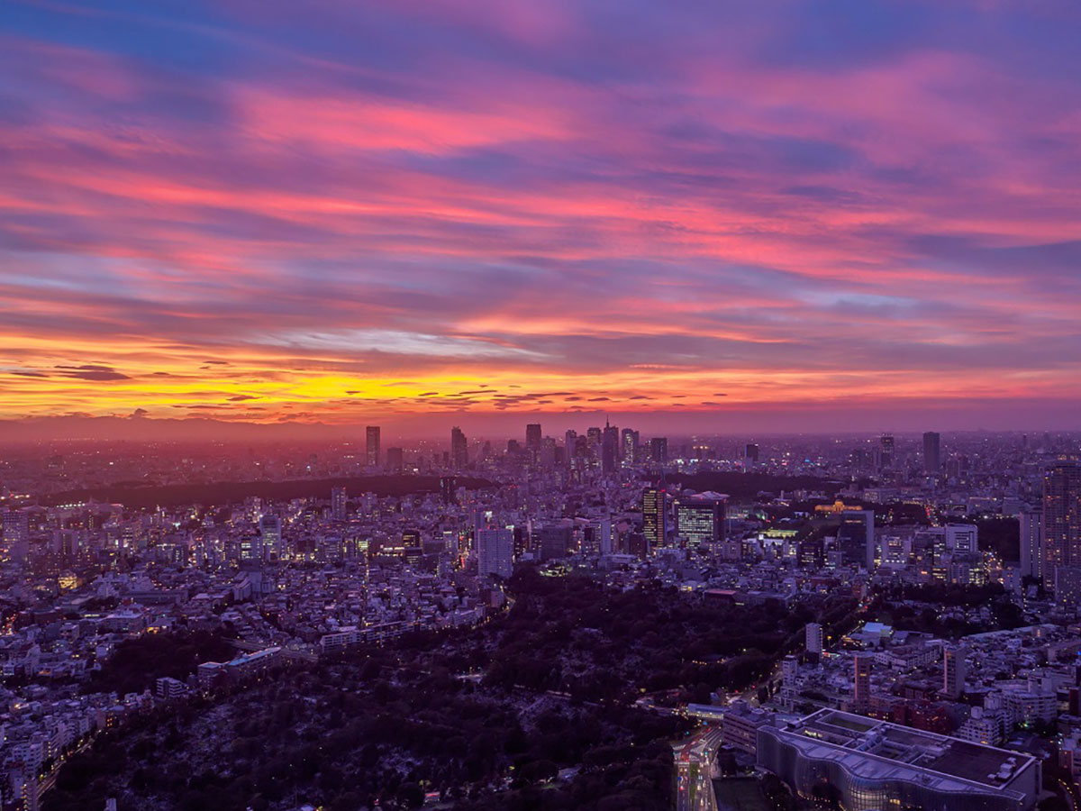 Tokyo City View_4
