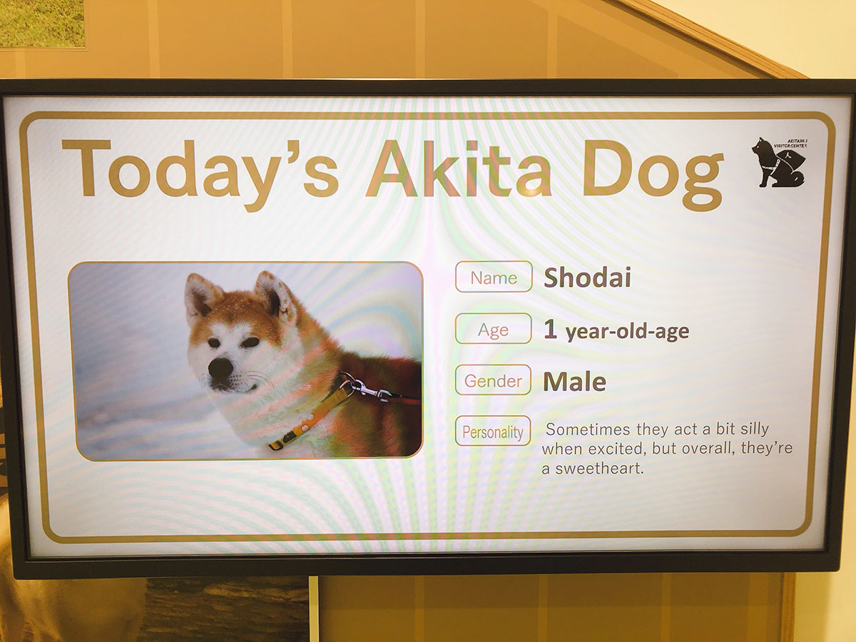 Akita Inu Visitor Center_3
