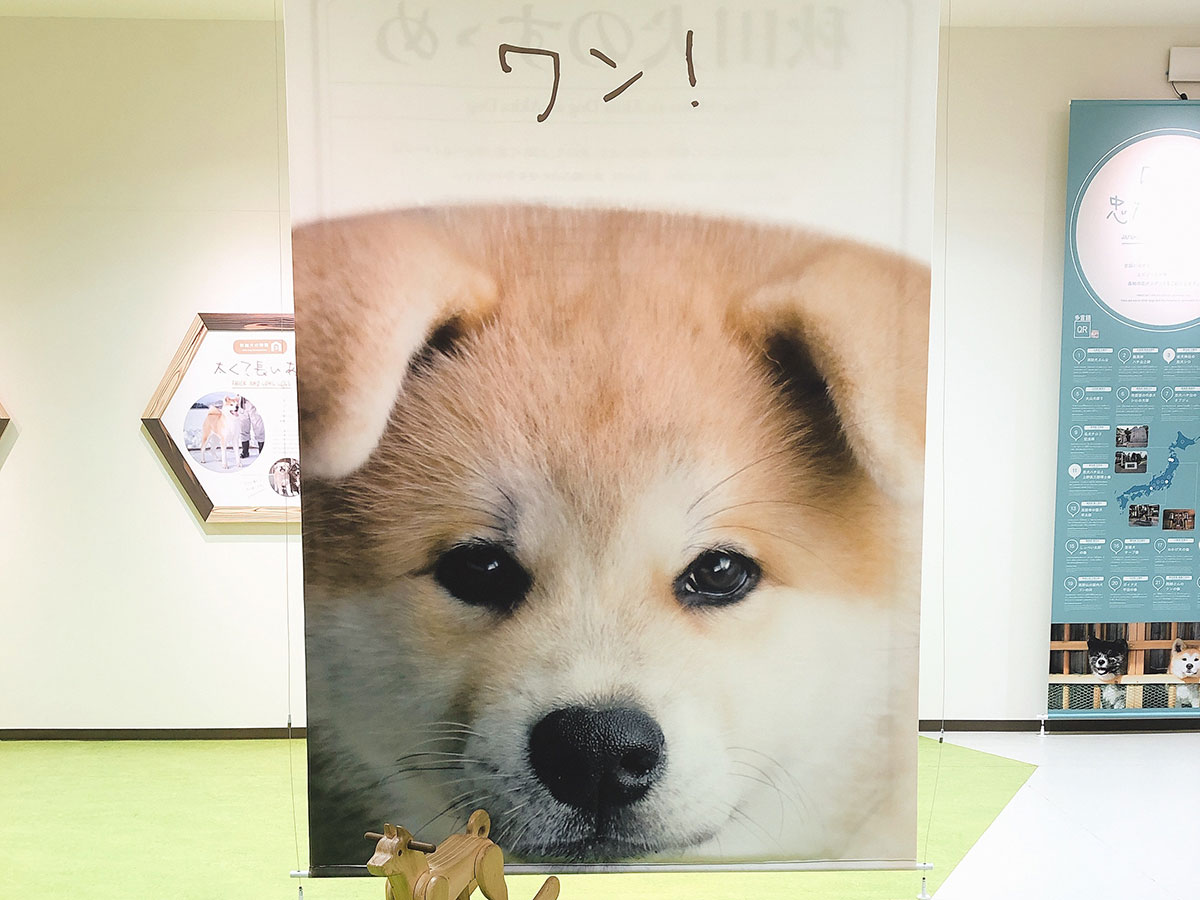 Akita Inu Visitor Center_4