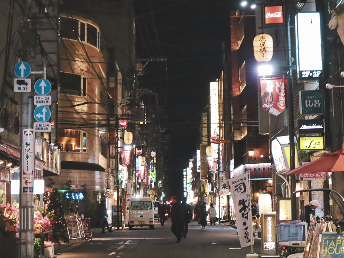 Kokubuncho Yokocho (Alleyways of Kokubuncho District)_4
