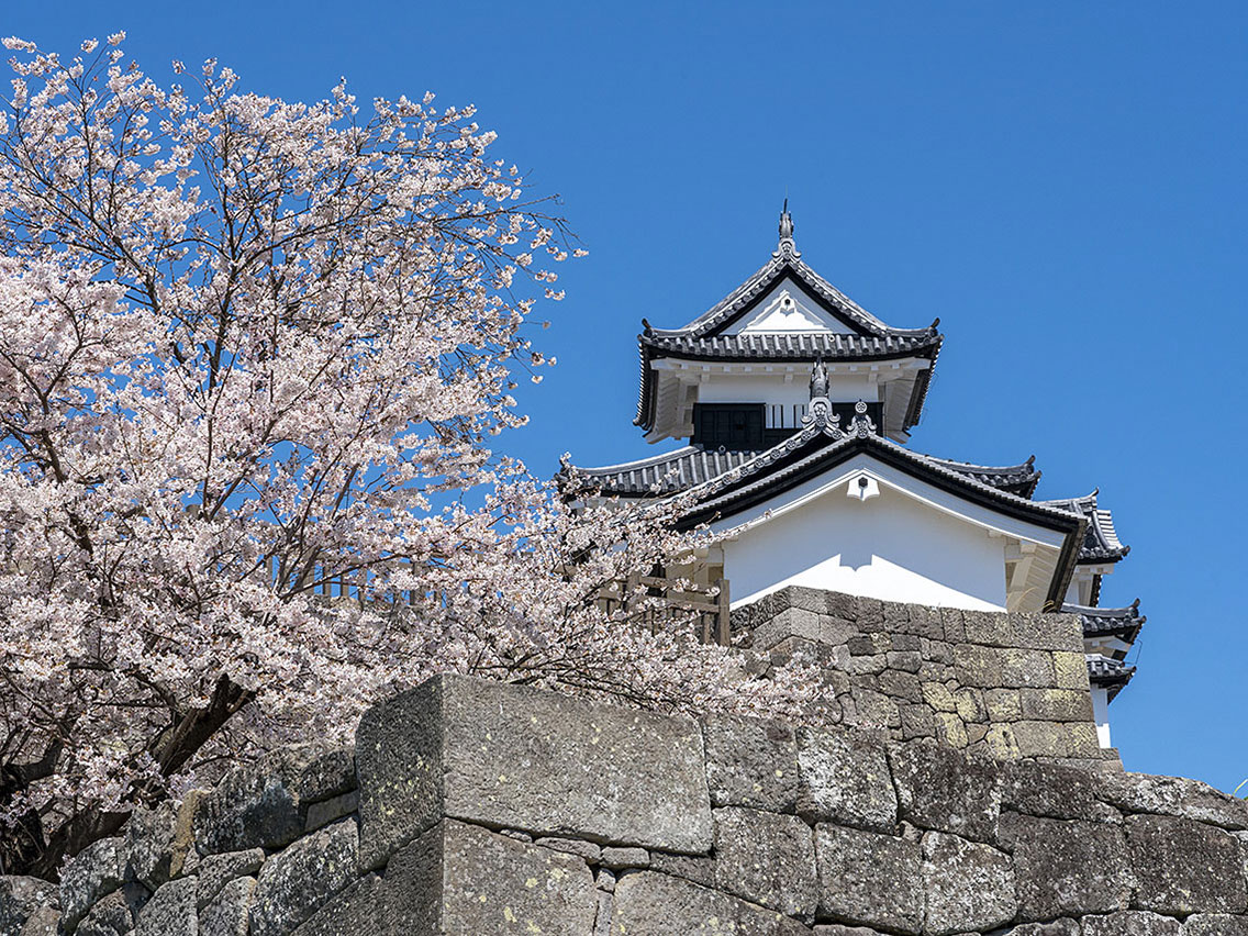 Komine-jo Castle_1