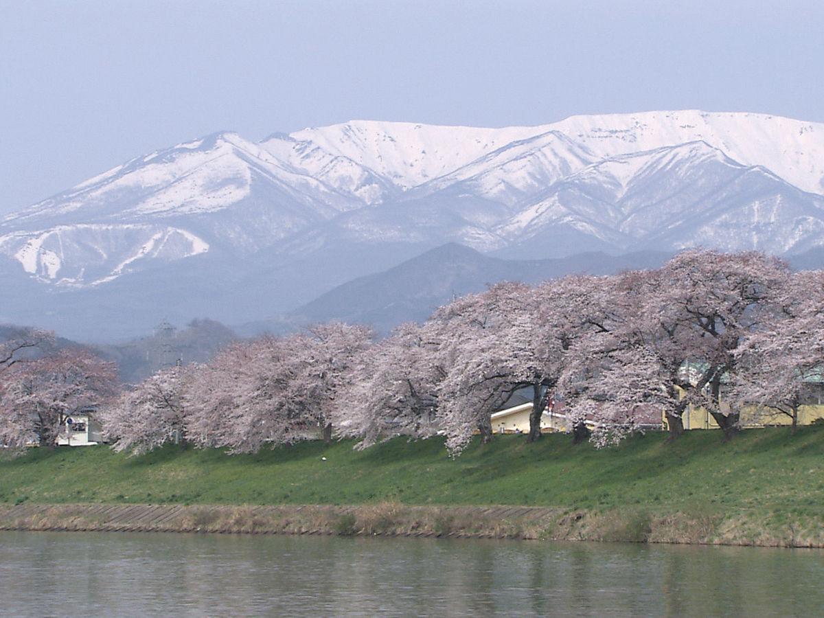 Hitome Senbonzakura (1,000 Sakura trees at a glance)_1