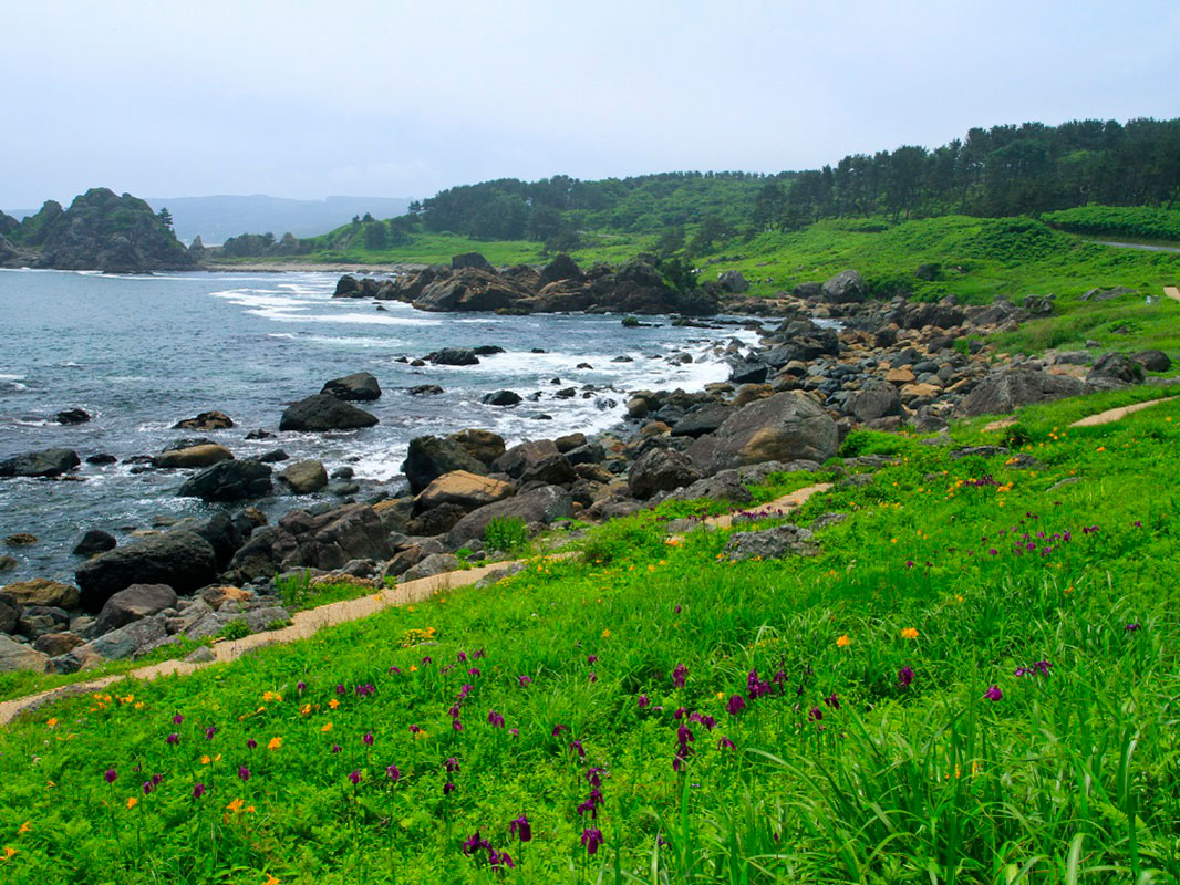 Tanesashi Coast_1