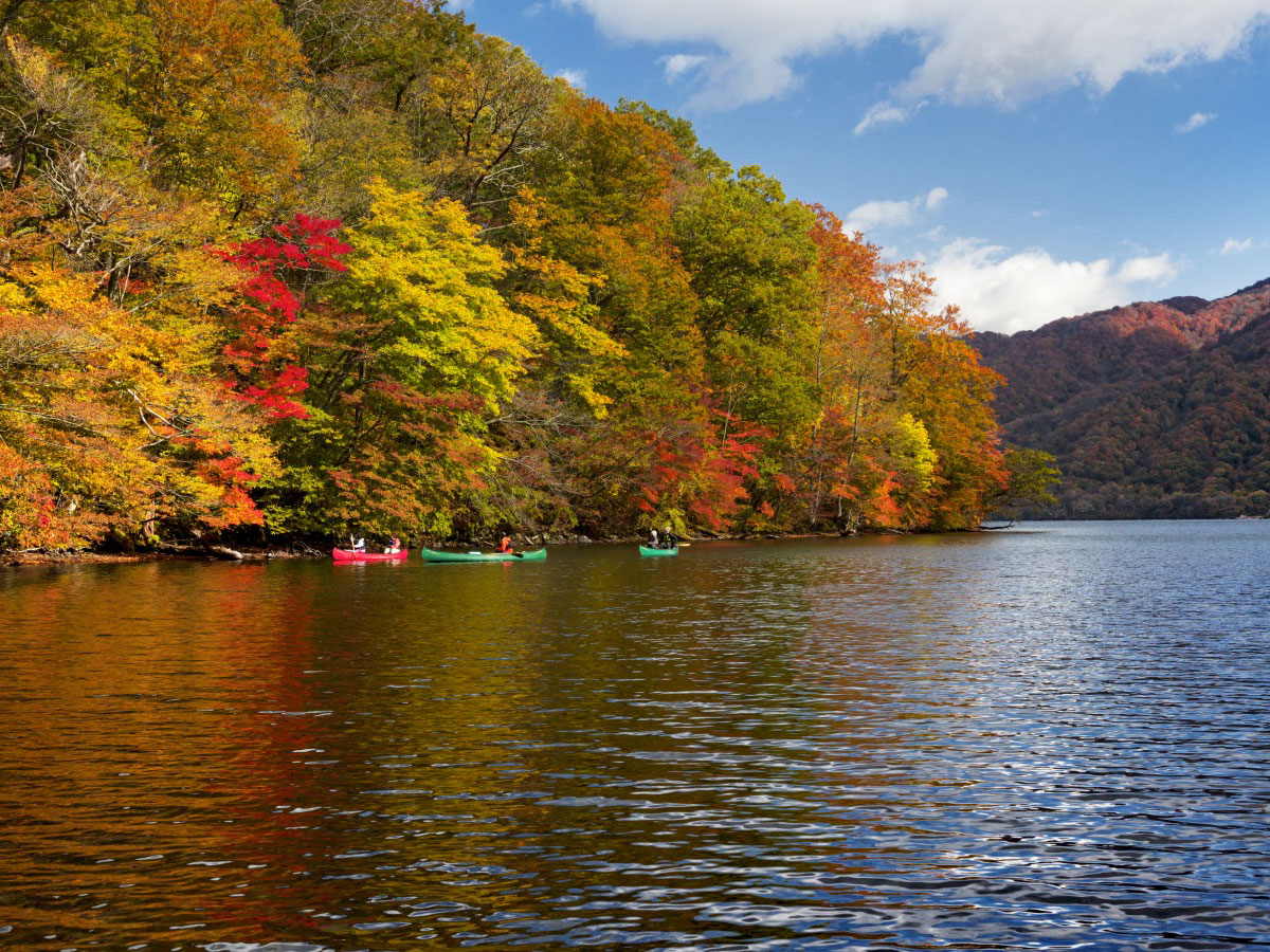 Lake Towada Canoe Tour_1