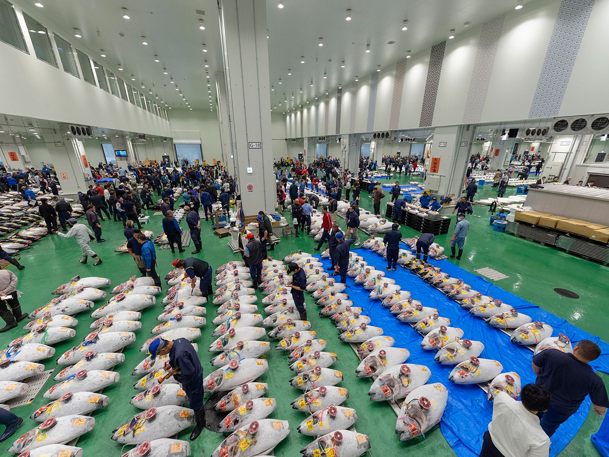 Toyosu Market and Toyosu Senkyaku Banrai_4