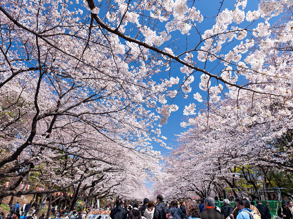 Ueno Park