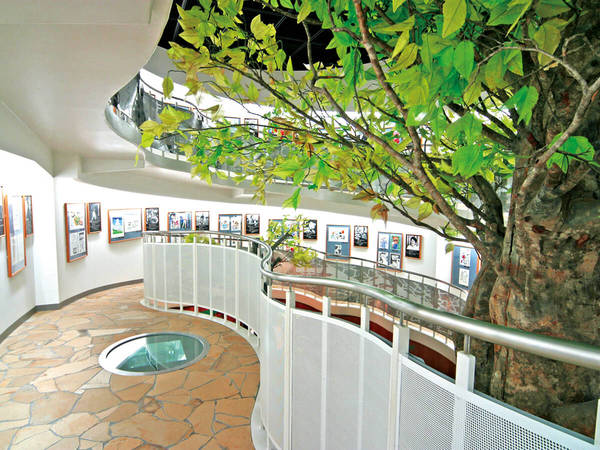 Yokote Masuda Manga Museum