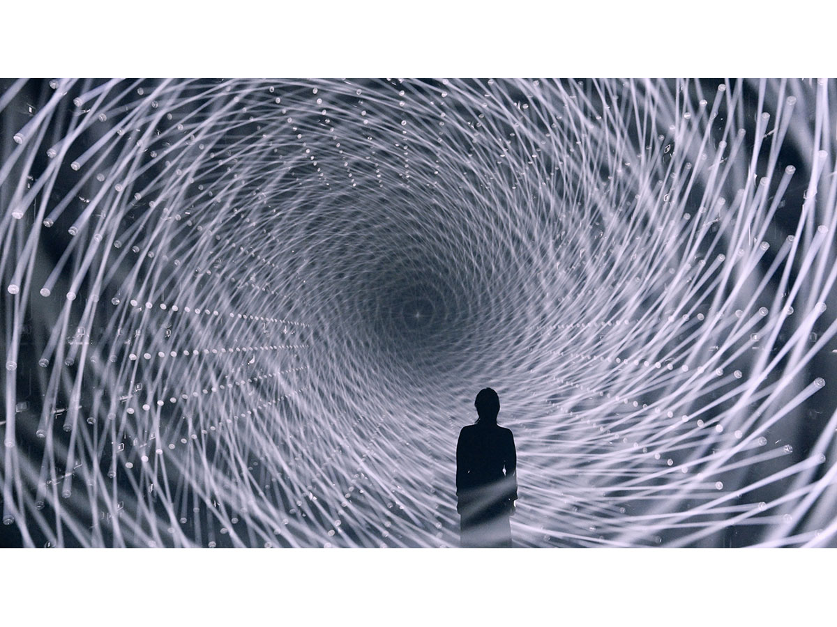 teamLab Borderless: MORI Building DIGITAL ART MUSEUM | TOHOKU x