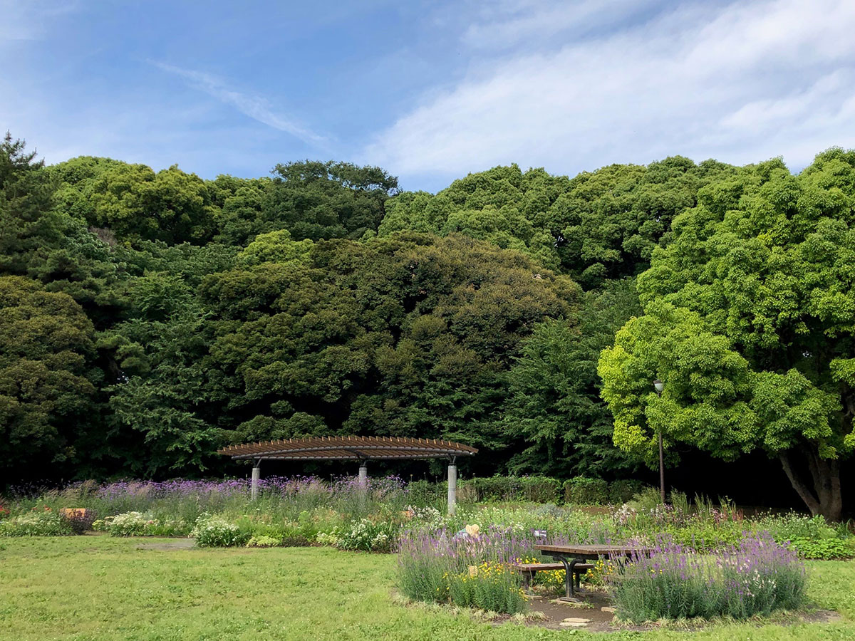 Yoyogi Park