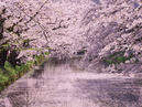 Hirosaki Park_2