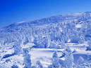 Miyagi Zao Tour of Juhyo, Ice Monster_2