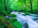 Oirase Gorge Cycling_2