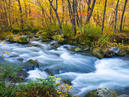 Oirase Gorge Cycling_1