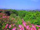 Site of Sendai Castle_4