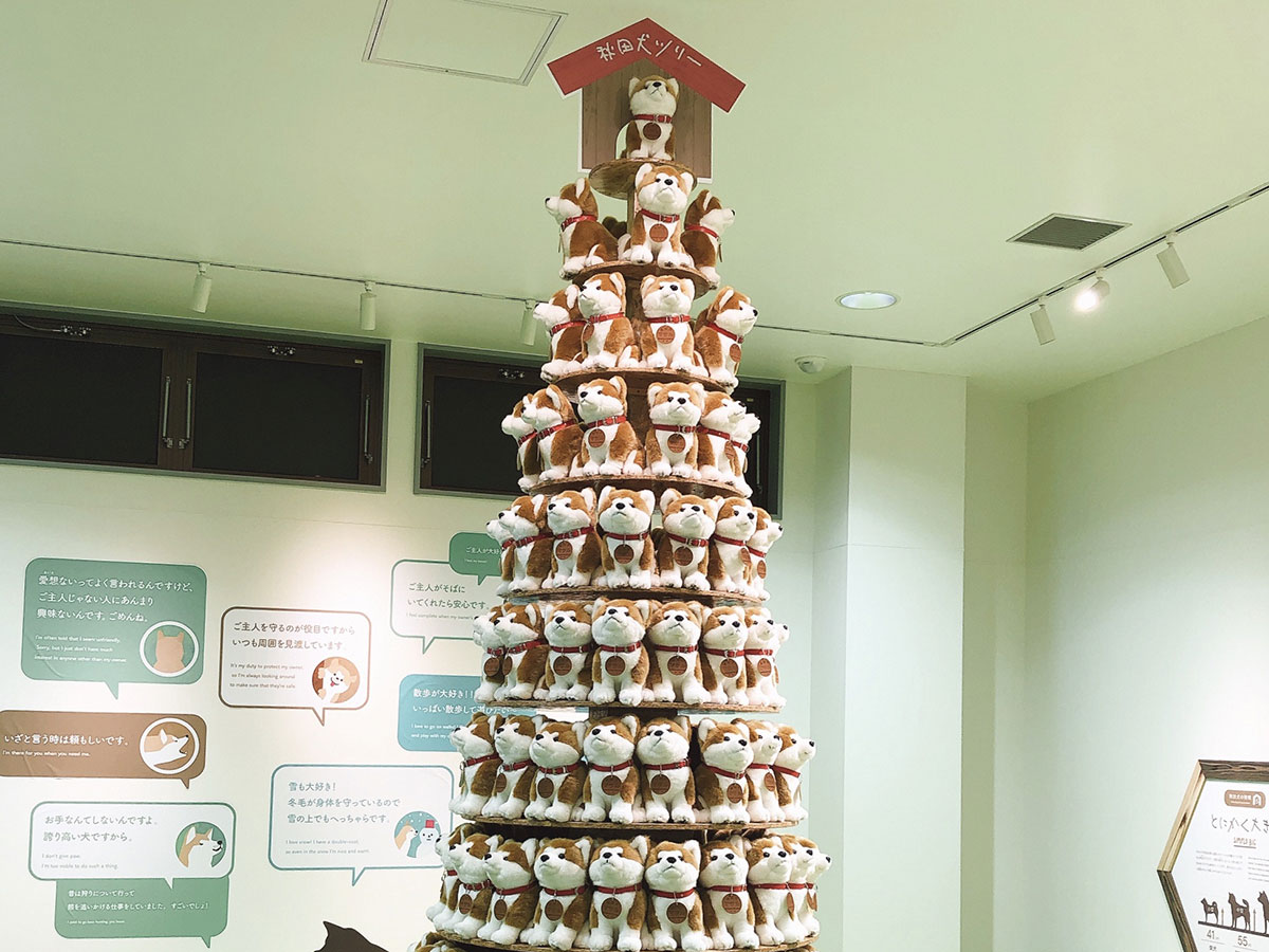 Akita Inu Visitor Center_2