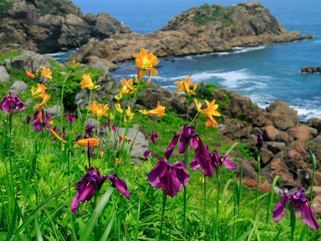 Tanesashi Coast_3