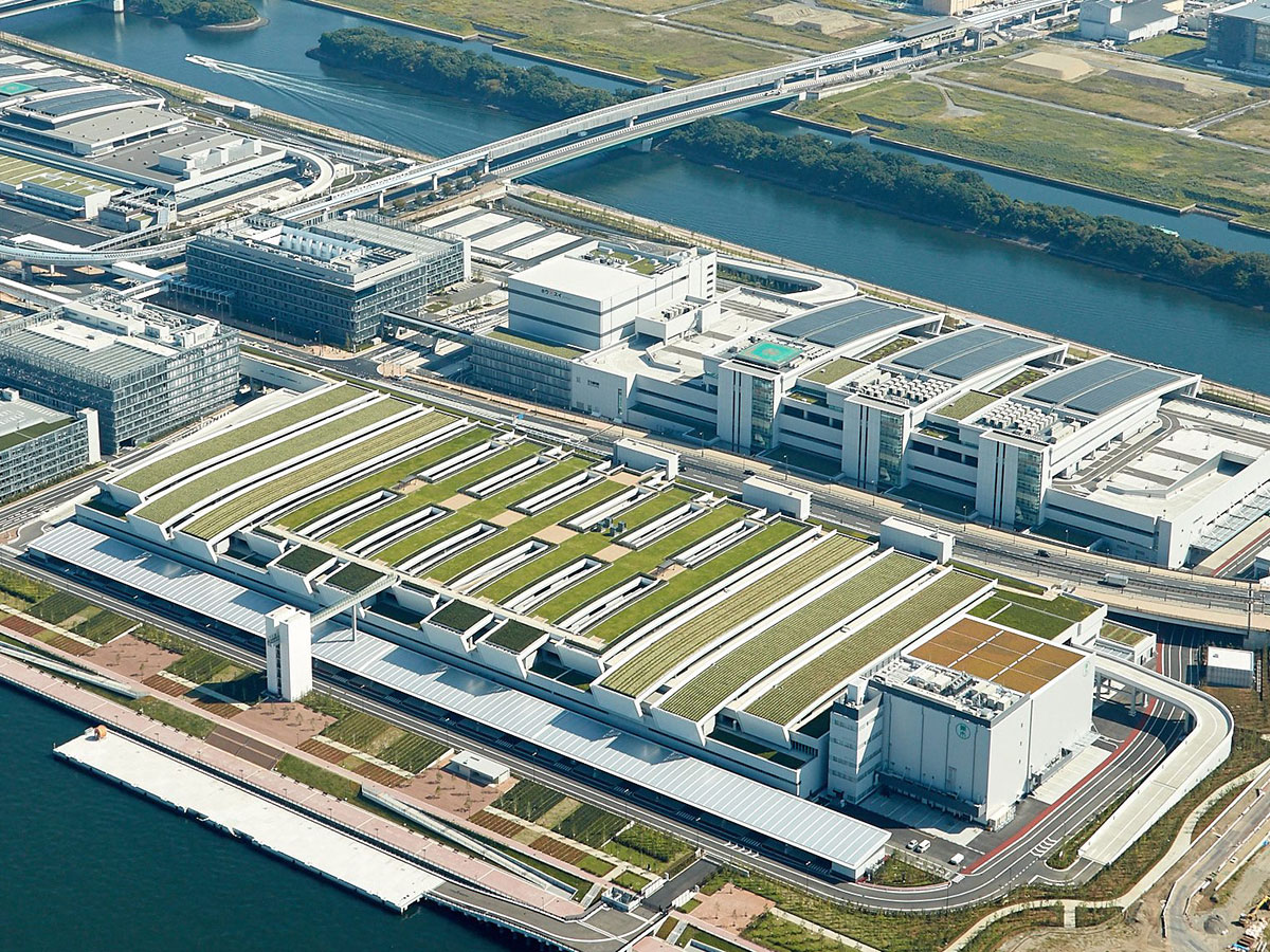 Toyosu Market and Toyosu Senkyaku Banrai_3